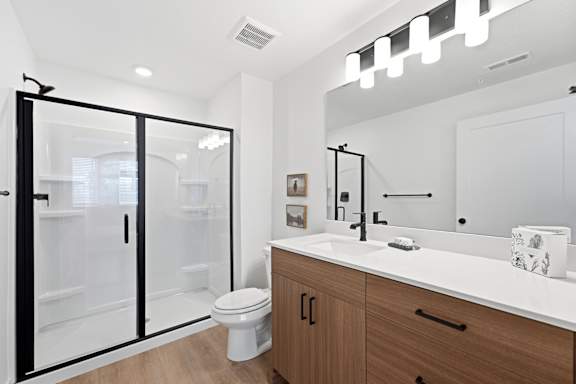 A modern bathroom with a walk-in shower and a large mirror above the sink.
