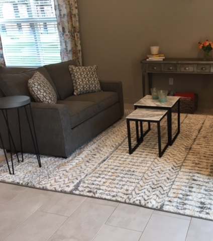 A living room with a grey couch, a coffee table, and a rug.