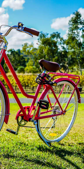 a red bike parked on a bench in a park