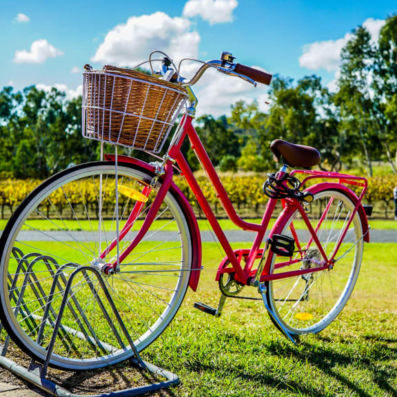 red bike parked on grass