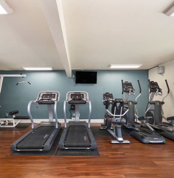 a gym with weights and cardio equipment on the floor and a painting on the wall at Olympus Park Apartments, Roseville, CA