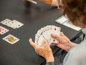 A person is holding a fan of cards in their hands.