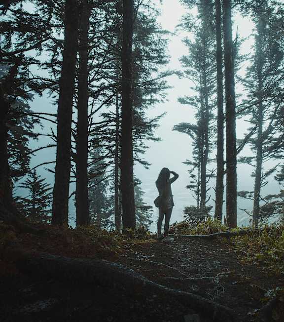A person is riding a bicycle on a forest trail.