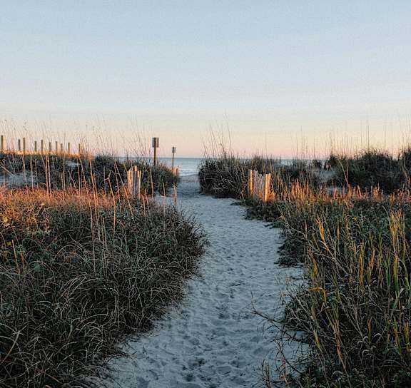 a sandy path to the beach leading to the ocean