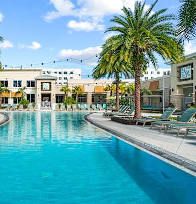 A large swimming pool surrounded by palm trees and lounge chairs.