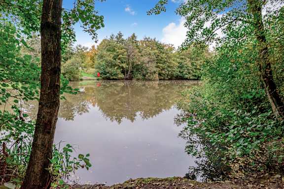 a park with a lake and trees and a bus