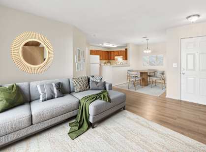 A living room with a grey couch and a green throw.