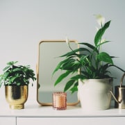 a white vase with a plant and a mirror on a table
