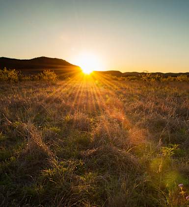 the sun sets over a grassy field with a mountain in the background
