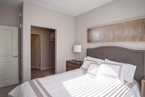Bedroom with Plush Carpeting and Walk Through Closet Leading to Attached Bathroom