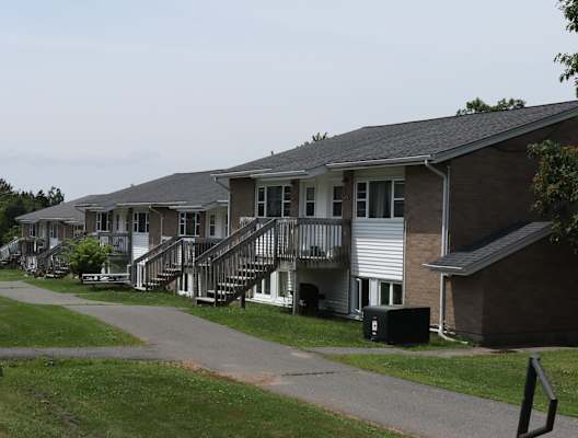 a row of houses in a neighborhood with trees and a sidewalk