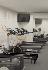 a row of treadmills and other exercise equipment in a gym