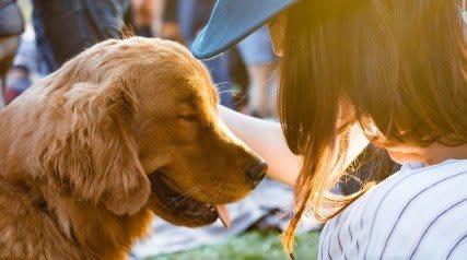 Dog Friendly at Superstition Canyon, Arizona, 85209