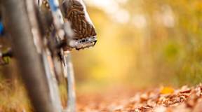 Biker rides on fall road with leaves scattered around.