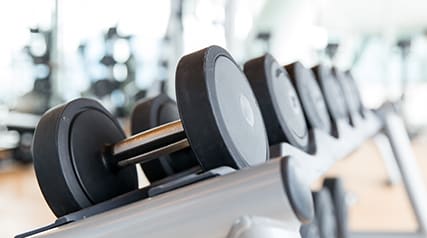 a row of dumbbells on a rack in a gym at The Georgian Apartments, St Louis, MO, 63104