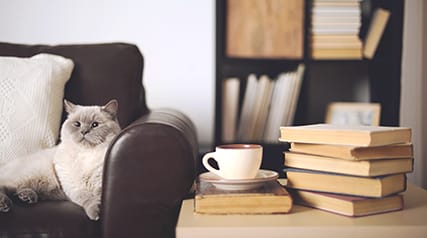 a cat sitting on a chair next to a stack of books at The Georgian Apartments, St Louis, MO, 63104