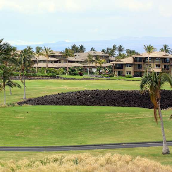 A golf course with palm trees and a stone wall.