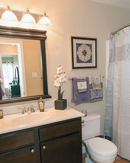 a bathroom with a toilet and a sink and a mirror