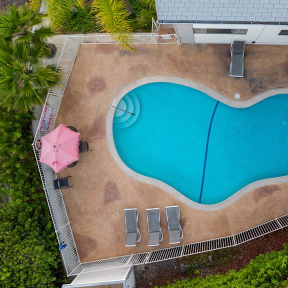 An aerial view of a swimming pool surrounded by trees and chairs.