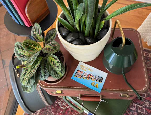 A green plant sits on a stack of books.