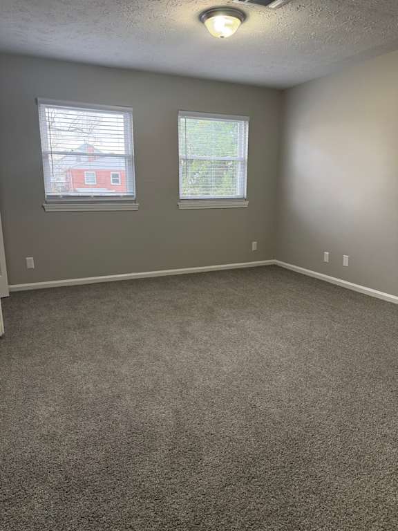 A room with grey carpet and two windows.
