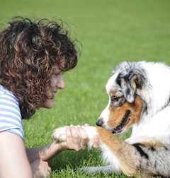 a woman laying on the grass playing with her dog