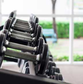 A row of dumbbells are lined up on a rack.
