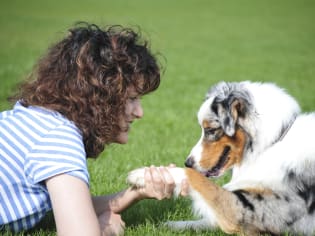 a woman laying on the grass playing with her dog
