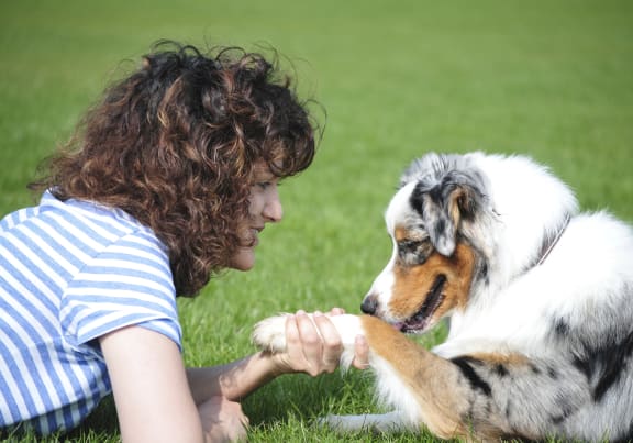 a woman laying on the grass playing with her dog