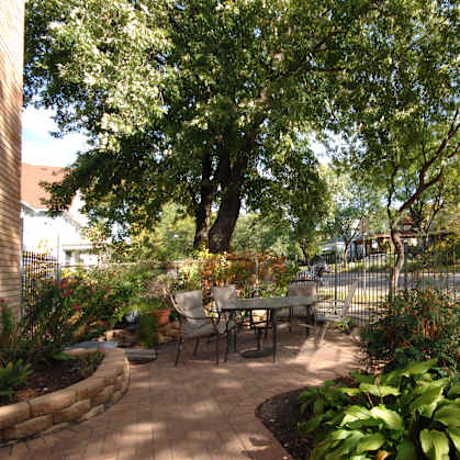 A backyard with a table and chairs surrounded by trees.