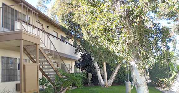 the front yard of a building with trees and a staircase