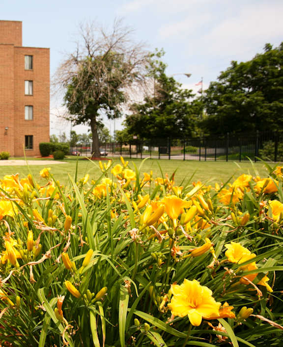 A red brick building with a green lawn in front.