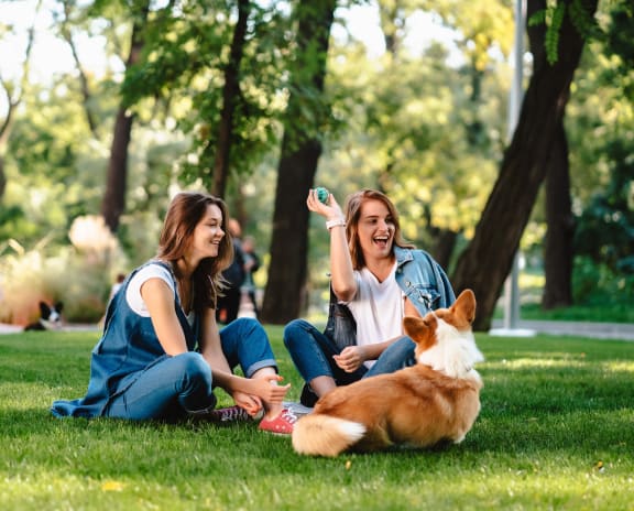 two women sitting in the park with a dog