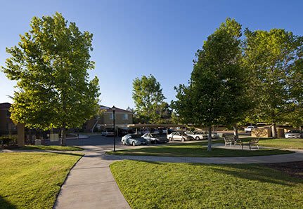 Amanda Park exterior grounds
