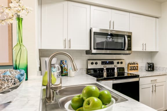 Electric Range Offered at Pine Harbour, Orlando, Florida