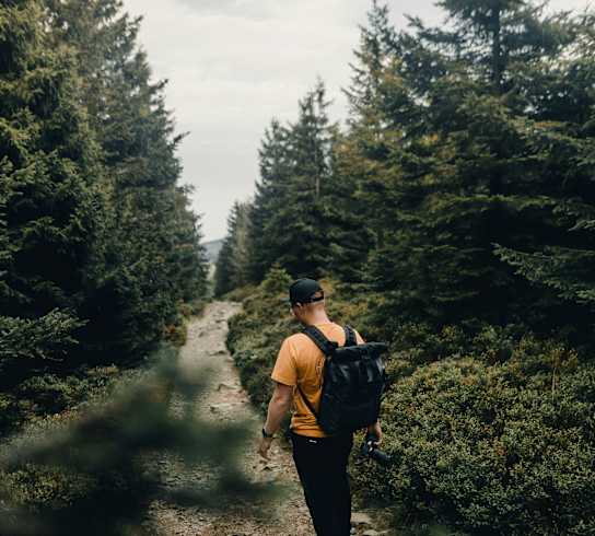 a man with a backpack walking down a path in the woods