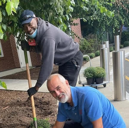 Two men planting a tree in a garden.