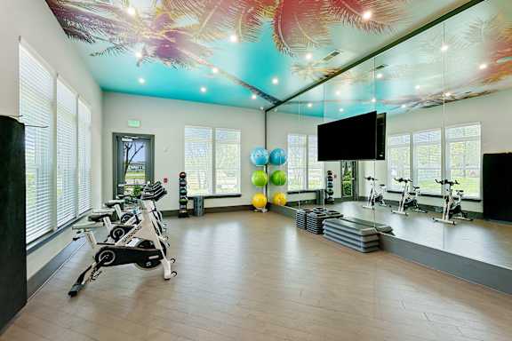 A gym with a row of treadmilers and exercise balls.