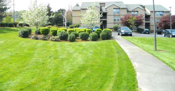 A grassy area in front of apartment buildings.