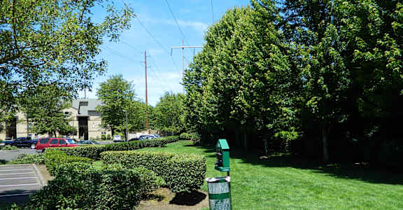 A green pole stands in a grassy area next to a sidewalk.