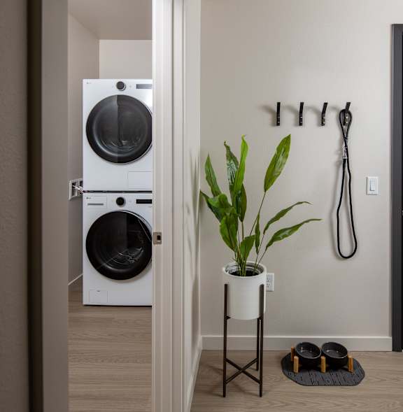 A white washing machine is in a small room with a black door and a plant on a table.