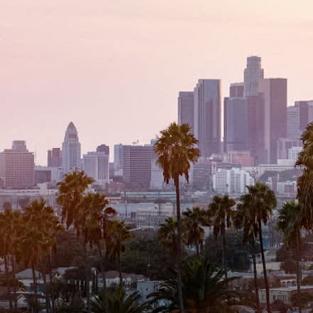 a view of the city skyline with palm trees