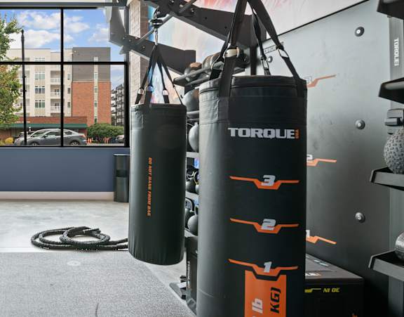 A pair of Torque 100 lb punching bags hanging from a rack in a gym.