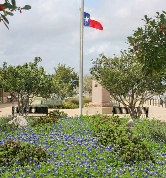 A flag pole with the American flag and the Texas state flag flying in front of a park with a bench and flowers.