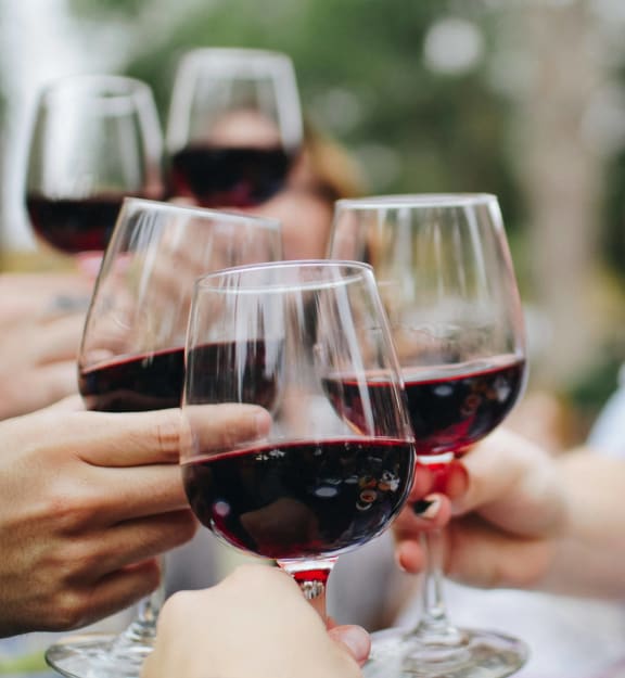 a group of people holding glasses of red wine