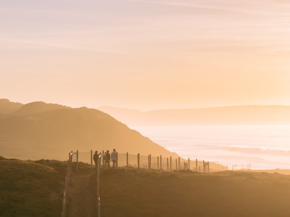 a group of people standing on top of a lush green hill