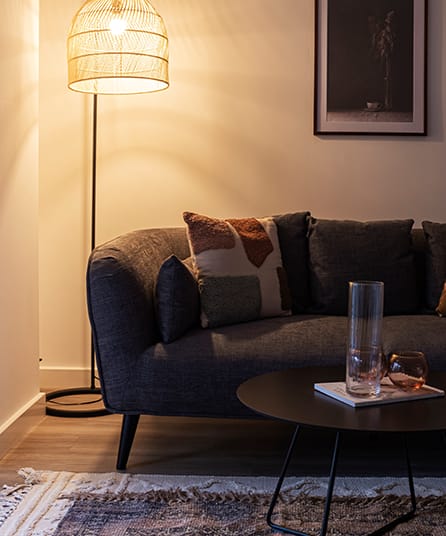a living room with a couch with pillows and a plant