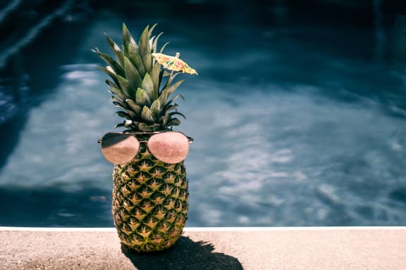 Pineapple at Rancho Franciscan Senior Apartments, Santa Barbara, 93105