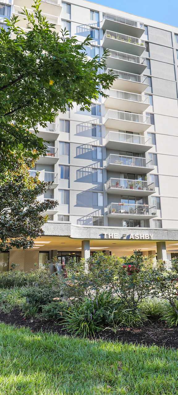 A modern apartment building with a tree in front.