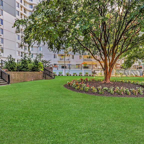 A tree in a flower bed in front of a building.